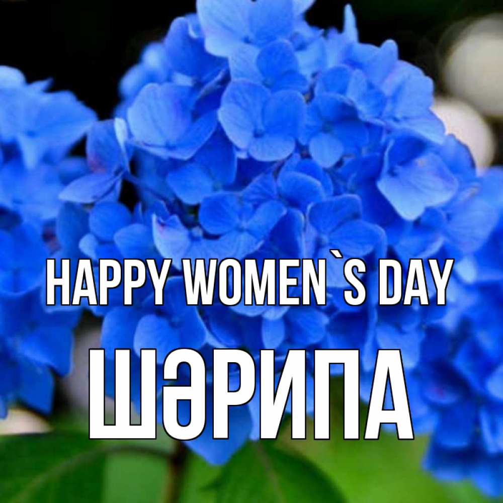Greetings card с именем, ШӘРИПА happy women`s day синие цветы Greetings with text for free download 